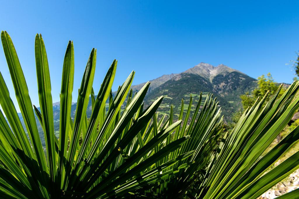 Biohof Niedereben Villa Rablà Exterior foto